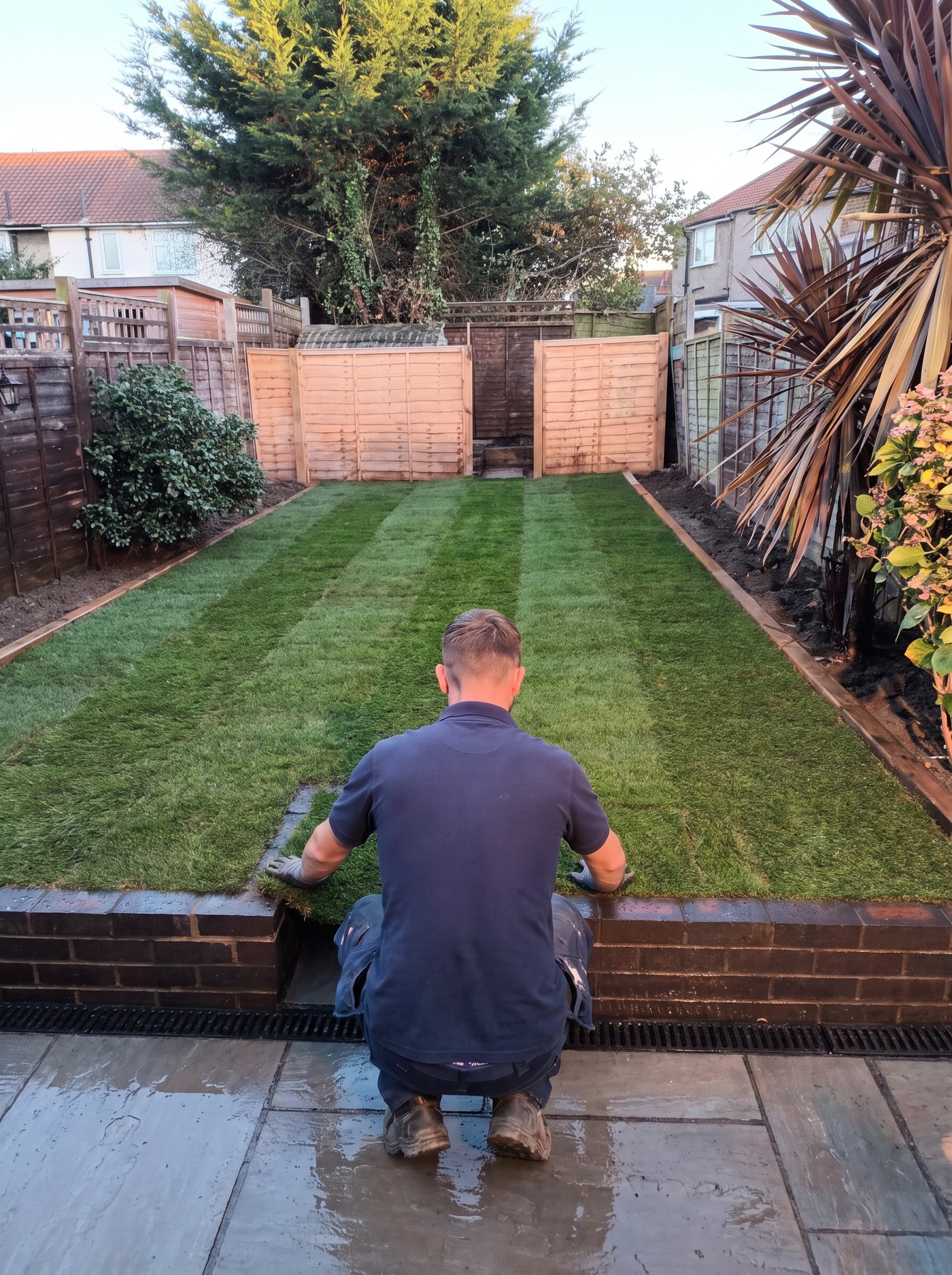 Landscaper laying fresh turf in a Catford back garden